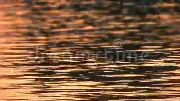 美丽的黄昏在萨瓦河01视频的预览图