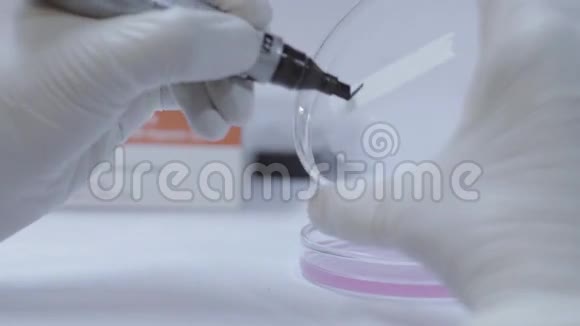 科学家在实验室给样品贴上标签视频的预览图