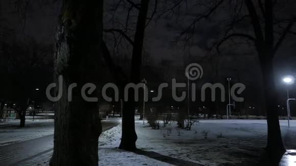 波夫穿过一条黑暗阴郁和寒冷的街道4UHDK视频的预览图