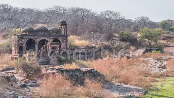 印度拉贾斯坦邦兰桑博雷国家公园兰桑博雷堡视频的预览图