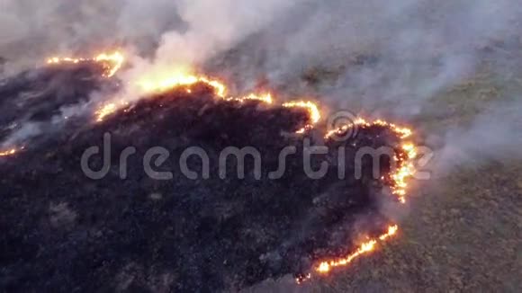 空气视图在沙漠中燃烧干草视频的预览图