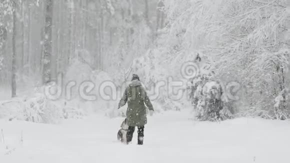 年轻漂亮的白种人女孩穿着夹克在雪地里的冬天森林里和混血狗小狗玩耍视频的预览图