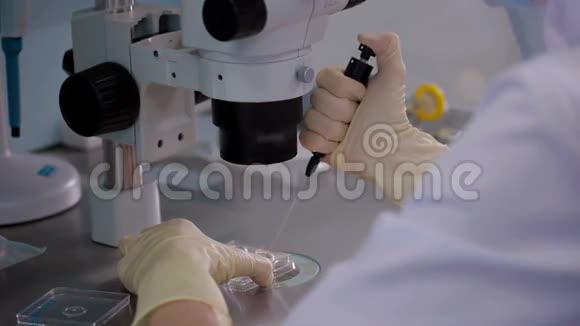 医生用显微镜给人类卵子受精视频的预览图
