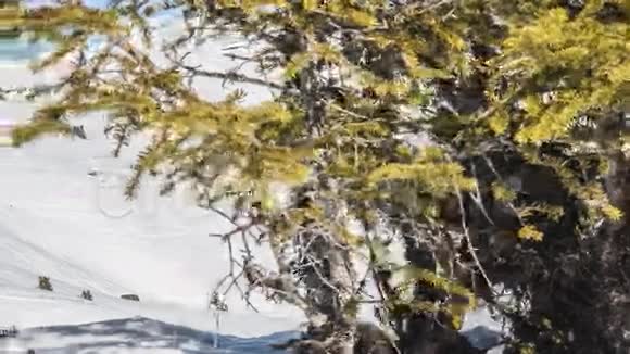 瑞士多利树升降台视频的预览图