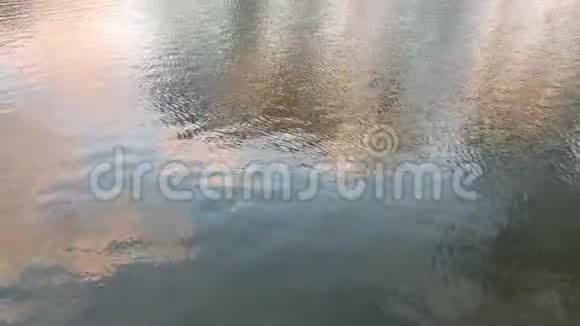 在大自然的湖中倒影视频的预览图