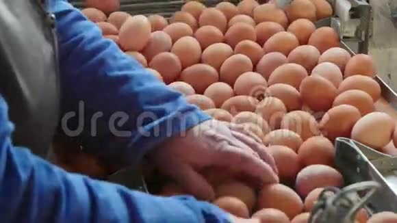 鸡场鸡蛋重量分级及包装生产线视频的预览图
