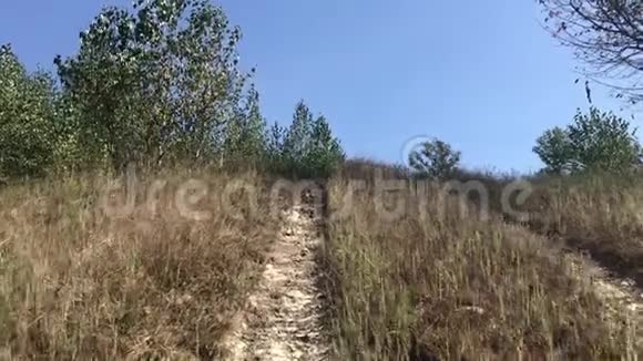 山谷森林中央的乡村道路视频的预览图