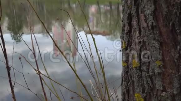 早春的城市公园里的湖4K视频的预览图