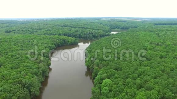 在绿色森林平原上鸟瞰河流视频的预览图