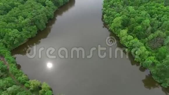 在绿色森林平原上鸟瞰河流视频的预览图