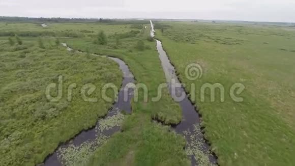 绿化湿地航拍视频1个视频的预览图