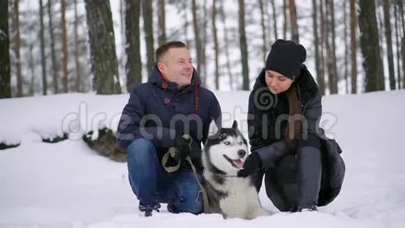 美丽的家庭一个男人和一个女孩在冬天的森林里和狗玩狗西伯利亚哈士奇视频的预览图
