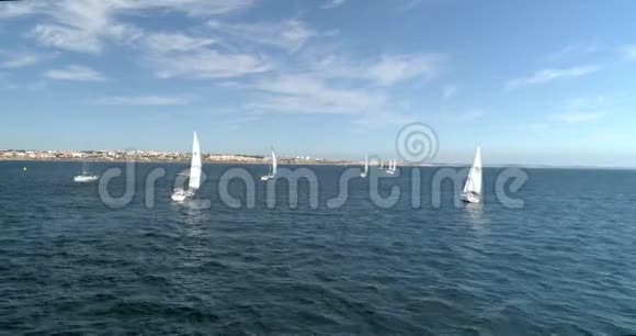 在海里的雷加塔视频的预览图