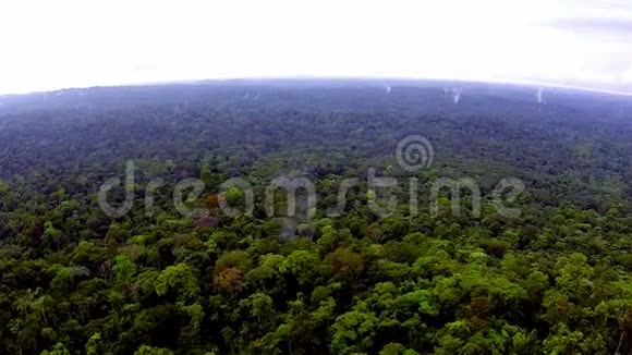 非洲雨林从直升机上看到的飞过丛林视频的预览图
