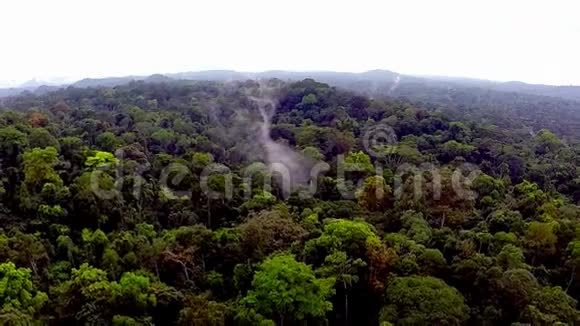 雾笼罩着热带森林飞越非洲丛林视频的预览图
