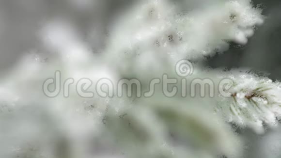 4K抽象3D渲染降雪背景闪闪发亮的模糊雪4的冬季降雪由于雾或霜冻而模糊了背景视频的预览图