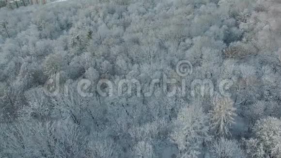 空中拍摄美丽的冬天公园覆盖着雪视频的预览图