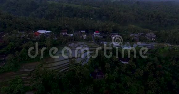 巴厘岛乌布德附近日落时米台的空中镜头视频的预览图