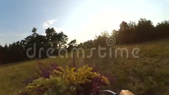 女人骑着自行车带着一束鲜花视频的预览图