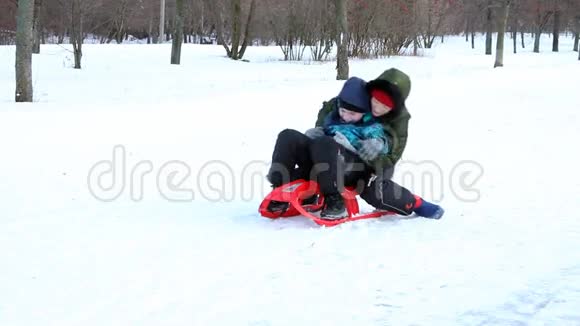 女人狗和小孩在雪橇上为摄影师摆姿势视频的预览图