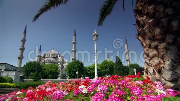 土耳其伊斯坦布尔蓝色清真寺有树木和鲜花视频的预览图