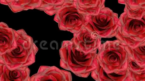 红玫瑰花落在黑色bgws阿尔法冰霜上视频的预览图