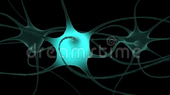 脑内神经元簇信号传递视频的预览图