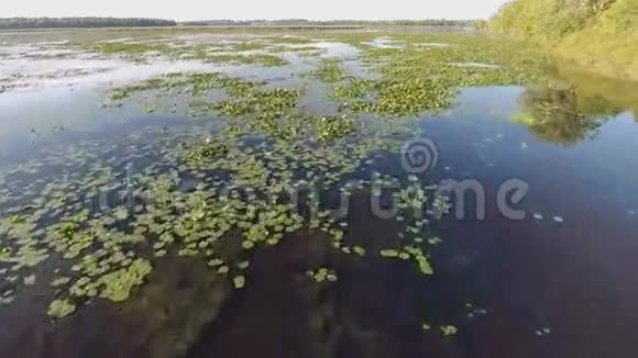 湖背莉莉帕德飞过去视频的预览图