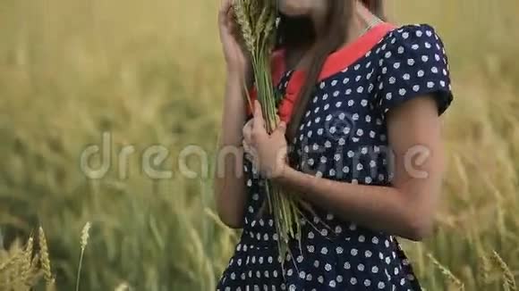 美丽的少女麦穗在麦田里视频的预览图