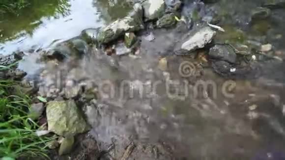 小溪里的水流视频的预览图