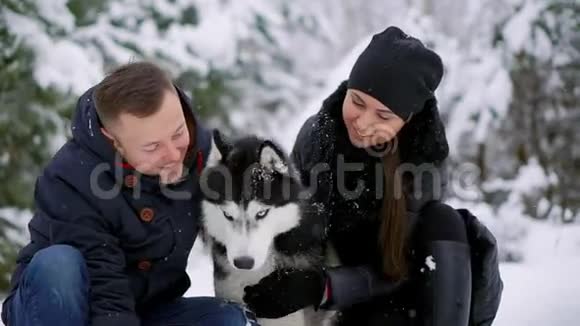 美丽的家庭一个男人和一个女孩在冬天的森林里和狗玩狗西伯利亚哈士奇视频的预览图