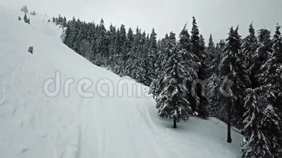 用白雪覆盖的克里斯特马树俯瞰道路视频的预览图