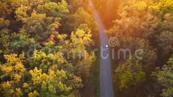 通过秋林路汽车驾驶的鸟瞰图秋景风景视频的预览图