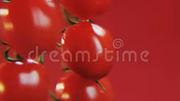 番茄在红色背景上旋转视频的预览图