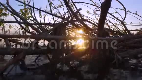 沿着一个大湖的岸边散步湖面上美丽的日落视频的预览图