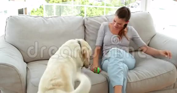 笑的女人在沙发上玩弄她的拉布拉多狗视频的预览图