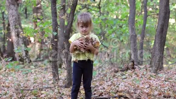 小女孩抛出秋叶视频的预览图