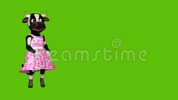 动画卡通迷人奶牛带绿色背景的连衣裙帽子和鞋子视频的预览图