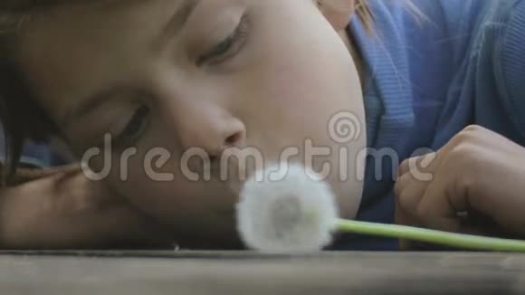 一个男孩和一朵花蒲公英的肖像脸特写的孩子用蒲公英视频的预览图