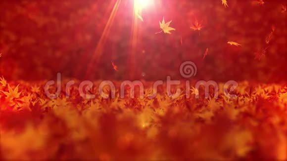 美丽的秋景坠落场景背景枫叶秋天的森林在阳光下CG循环动画视频的预览图