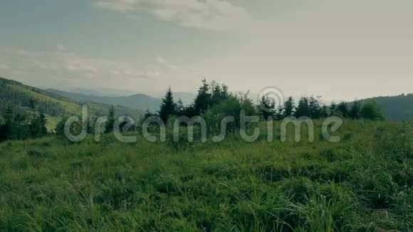 喀尔巴阡山高原景观全景视频的预览图