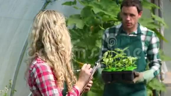 年轻的园丁向买家展示植物视频的预览图