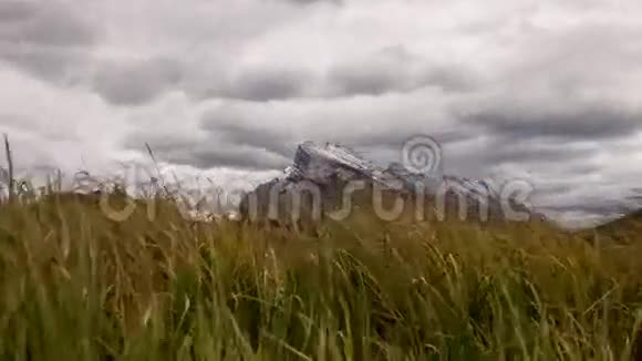 多利山在佛蒙特州的湖泊里视频的预览图