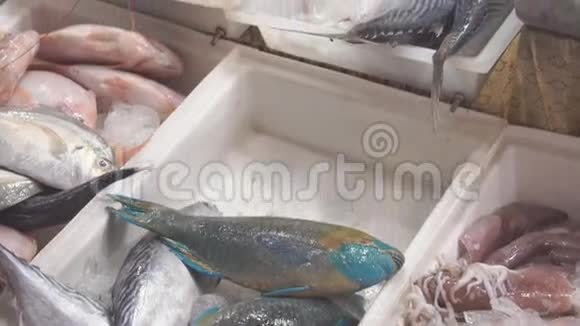 街头市场的新鲜鱼和海鲜视频的预览图