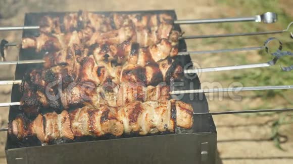 在煤块上的金属串上烹饪美味的烤肉串视频的预览图