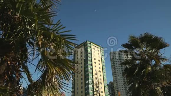 塔和棕榈树温哥华视频的预览图