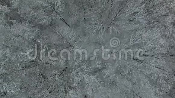 空中拍摄美丽的冬天公园覆盖着雪视频的预览图