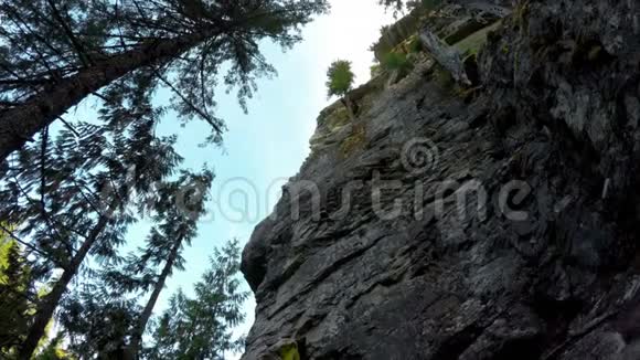攀登森林悬崖的攀岩者视频的预览图