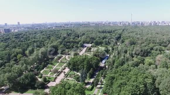 四架直升机拍摄全景美丽的绿色夏季花园喷泉在中心阳光明媚城市景观视频的预览图