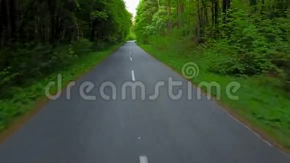 穿越森林的道路空中勘测视频的预览图